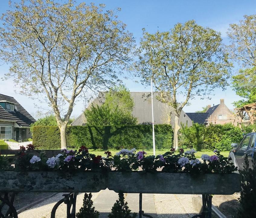 Ferwerd De Fryske Wyn B&B 외부 사진